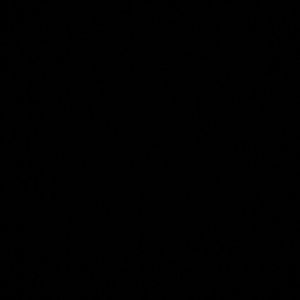 Meet your Posher, Destiny